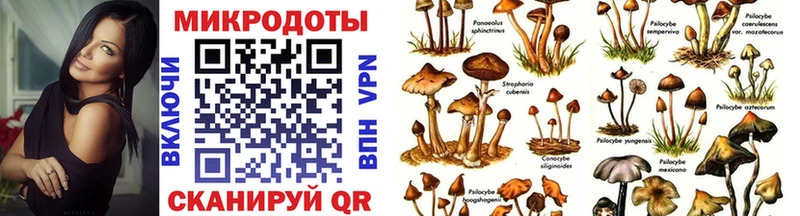 Псилоцибиновые грибы мухоморы  МЕГА ссылки  Ессентуки  сколько стоит 