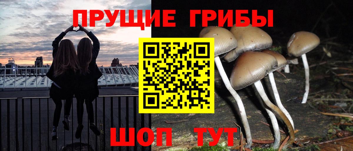 Псилоцибиновые грибы прущие грибы Ессентуки