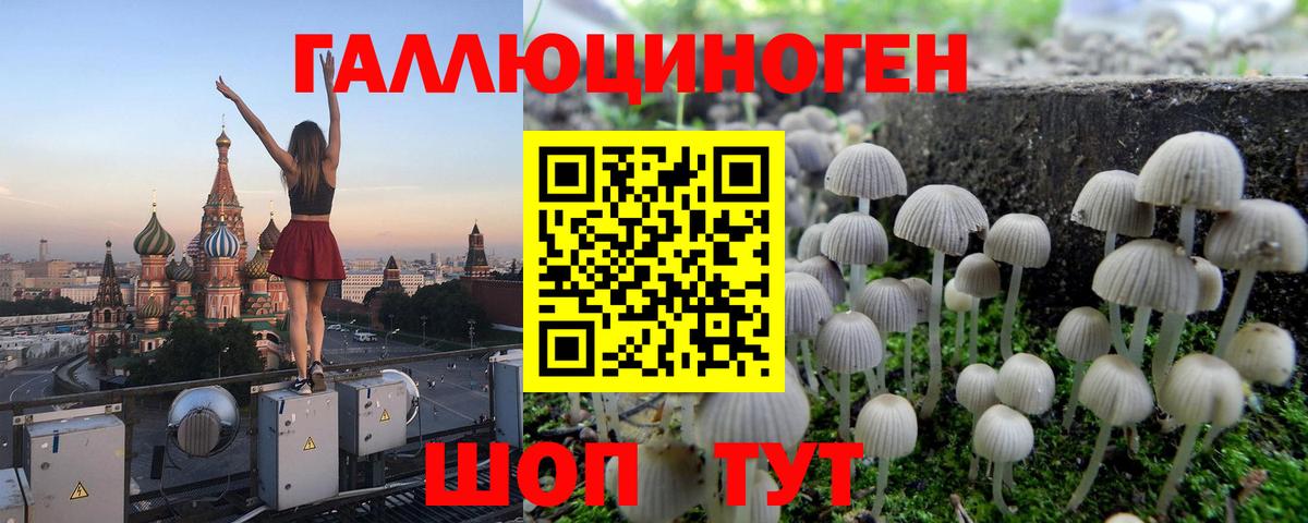 Галлюциногенные грибы Magic Shrooms  Вход с VPN  Галлюциногенные грибы Magic Shrooms  Ессентуки 