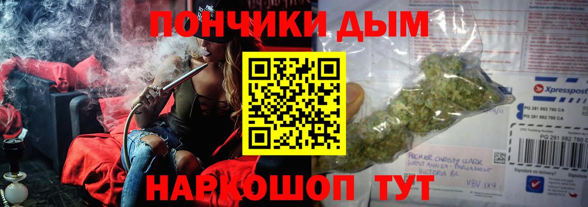 МАРИХУАНА ГИДРОПОН Ессентуки