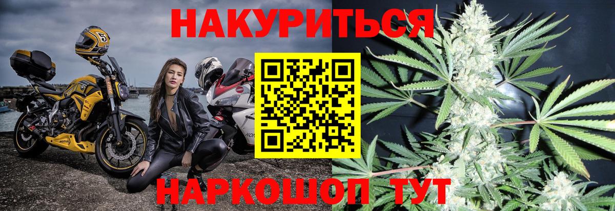 Ессентуки  Шишки марихуана индика  Конопля индика  Марихуана план  Канабис планчик  Вход с VPN 